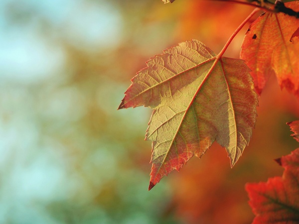 Hotel-Arrangement: Herbstwärme am 31. Oktober 2026
