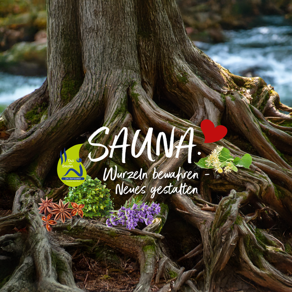 tag-der-sauna-s34404