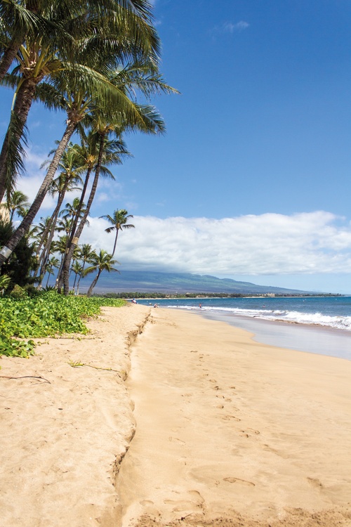beach, palmer, hawaii, nature, maui, landscape, true