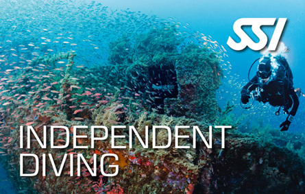 Independent Diver (Solotauchen)