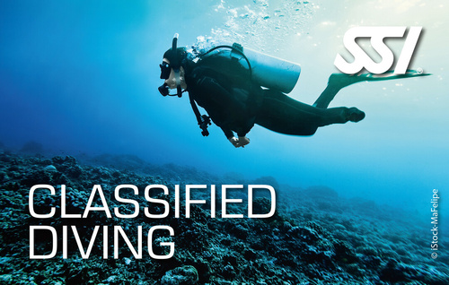 Presentation Classified Diving