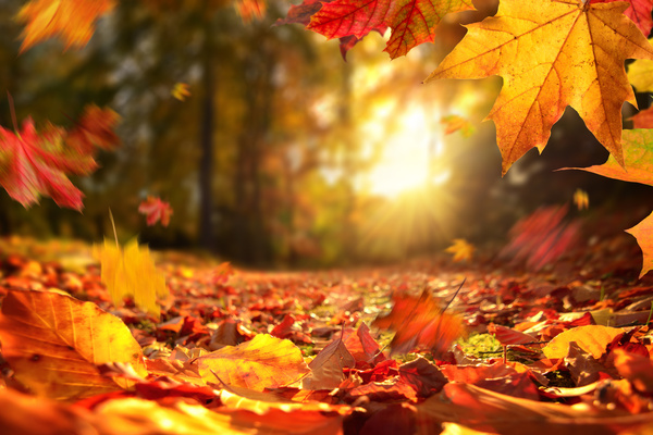 herbstwaerme-s32325