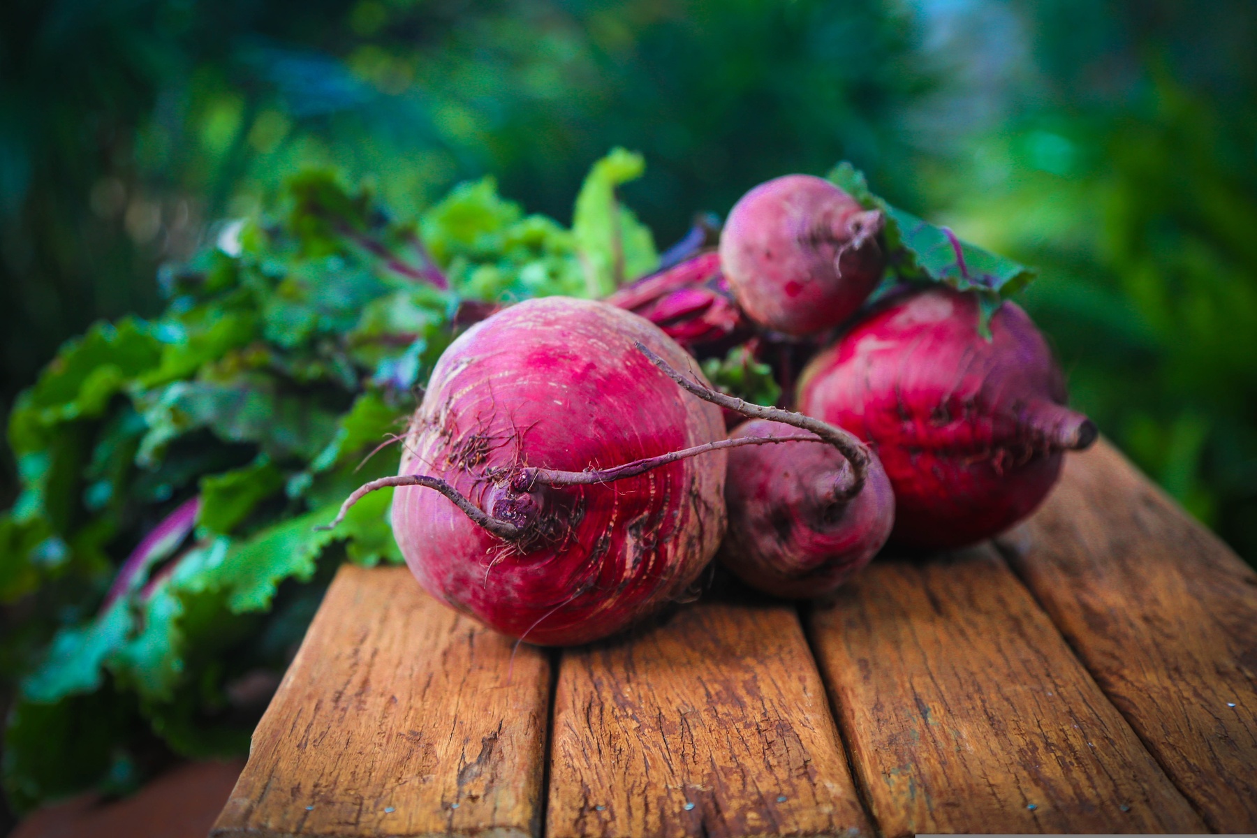 beetroot, food, diet