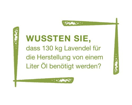 ÜR Grafiken NaturPur 2023 10 a8
