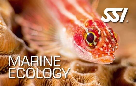 Ecology Kurse Marine Ecology
