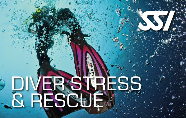 Stress & Rescue (inkl. React Right)